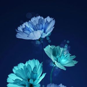 Meet your Posher, Marilyn